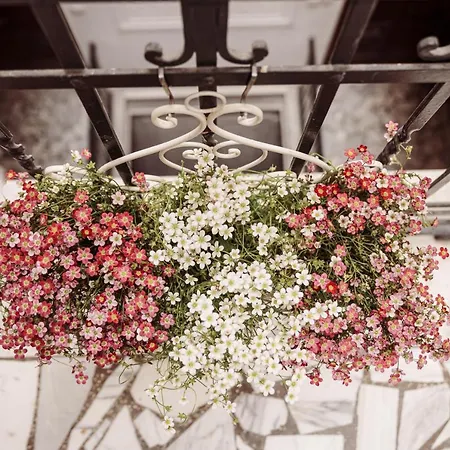 Апартаменты Art View Luxury