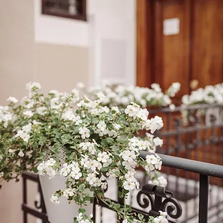 Art View Luxury Apartamento *